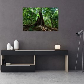 Tablou - Rădăcinile copacului (90x60 cm)