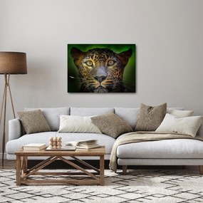 Tablou - Portretul leoparduslui, Sri Lanka (70x50 cm)