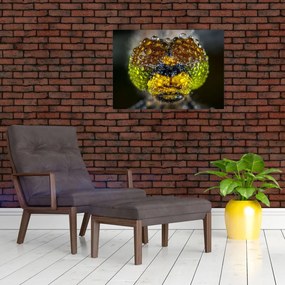 Tablou pe sticlă detailat cu ochii de omidă (70x50 cm)