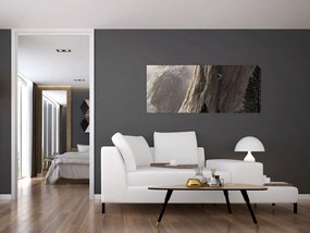 Tablou din valea Yosemite parcul național, SUA (120x50 cm)
