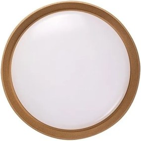 Plafoniera LED cu telecomanda Ladan D-50cm