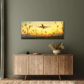 Tablou cu avion zburând (120x50 cm)