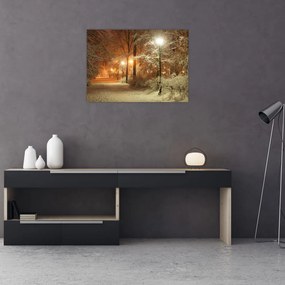 Tablou pe sticlă - Parcul înzăpezit (70x50 cm)