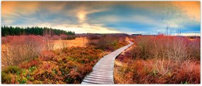 Tablou - Peisaj de toamnă - drum (120x50 cm)