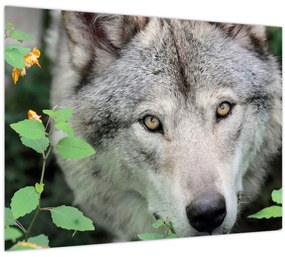Tablou - Portret de lup (70x50 cm)