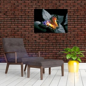 Tablou pe sticlă cu fluture (70x50 cm)