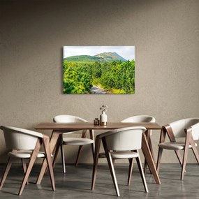 Tablou - Babi Hora, Polonia (90x60 cm)