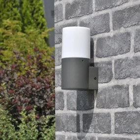 Aplica de perete exterior DALLAS 1xE27/12W/230V IP44 antracit