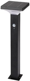 Lampa solara cu senzor de miscare, IP44 Geleen H-50cm