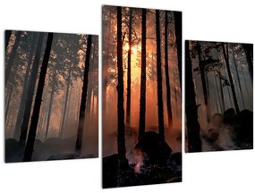 Tablou cu pădure întunecată (90x60 cm)