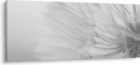 Tablou - Dandelion (120x50 cm)