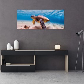 Tablou - Broasca țesstoasă (120x50 cm)