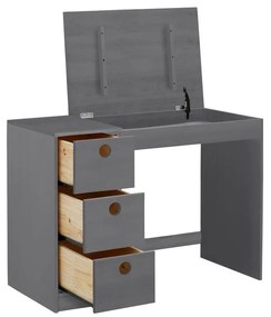 Birou din lemn de pin 50x100 cm Alpi – Støraa