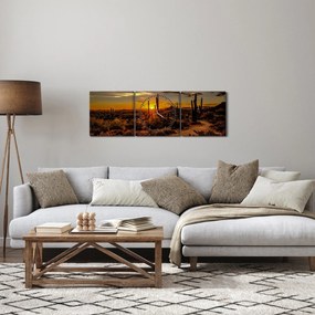 Tablou - Sfărșit de zi în deșertul Arizona (cu ceas) (90x30 cm)