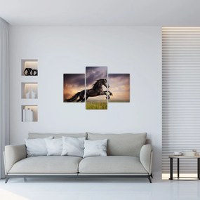 Tablou - Cai (90x60 cm)