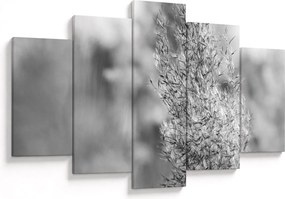 Tablou - Iarbă de pampas Boho (150x105 cm)