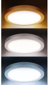 Solight WD244-S - Panou LED 2 în 1 24W/230V 3000/4000/6000K Ø 30 cm IP54 argintiu