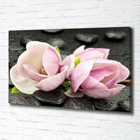 Print pe pânză Magnolia zen piatra