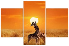 Tablou - Girafe în Parcul Național Serengeti (90x60 cm)