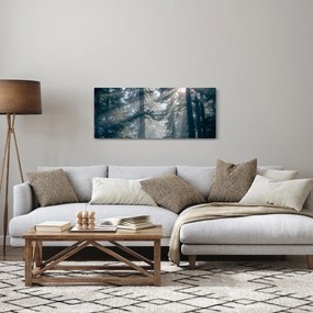 Tablou cu copaci și soarele translucind (120x50 cm)