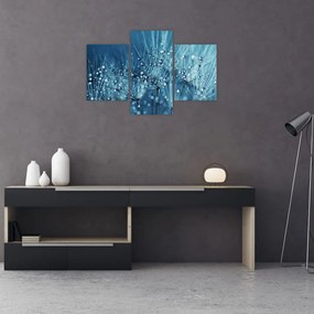 Tablou - Picături de rouă (90x60 cm)