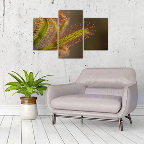 Tablou cu plantă (90x60 cm)