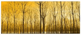 Tablou cu pădure în apus de soare (120x50 cm)