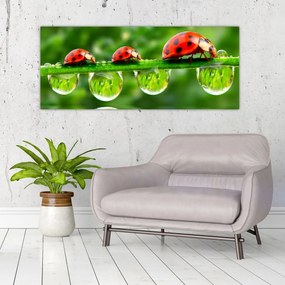 Tablou - Soarele celor șapte sori (120x50 cm)