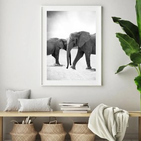 Poster - Elefanții venind inainte (A4)