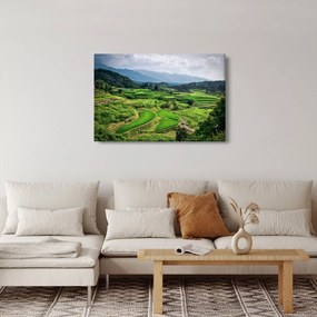 Tablou cu câmp de orez (90x60 cm)
