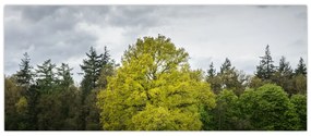Tablou - Copac verde în câmp (120x50 cm)