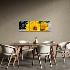 Tablou cu flori galbene (cu ceas) (90x30 cm)