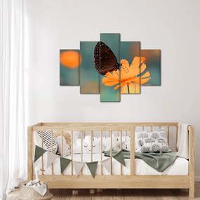Tablou - fluture pe o floare portocalie (150x105 cm)