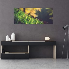 Tablou - Ciupercă și muschi (120x50 cm)