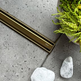 Rigola dus REA Neox Slim pro Gold 60