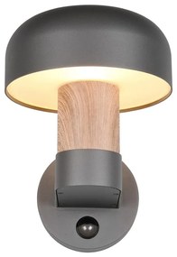 Corp de iluminat pentru exterior, de perete (înălțime 24,5 cm) Fraser – Trio