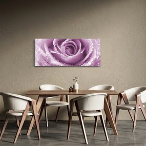Tablou detaliu de floare de trandafir (120x50 cm)