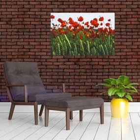 Tablou - Maci în vânt (90x60 cm)