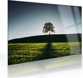 Tablou pe sticlă cu natura - copac (70x50 cm)
