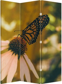 Paravan - Fluture pe floare (126x170 cm)
