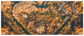 Tablou - Râu în formă de inimă (120x50 cm)