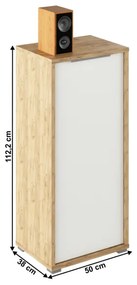 Dulap Birou RIOMA TYP 10 Stejar Artisan/Alb
