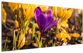 Tablou cu floare violetă (120x50 cm)