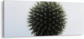 Tablou - Sfere de flori (120x50 cm)