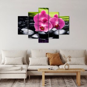 Tablou - Orhidee roz cu frunze de palmier (150x105 cm)