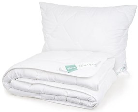 Set pilotă și pernă Aloe Premium, 140 x200 cm, 70 x 90 cm, 140 x 200 cm, 70 x 90 cm