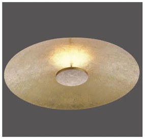 Plafonieră LED dimabilă Paul Neuhaus 8132-12 PLATE LED/25W/230V