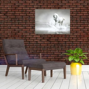 Tablou - Cal alb (70x50 cm)