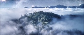Tablou pădurii în ceață (120x50 cm)