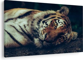 Tablou - Tigrul Siberian (90x60 cm)